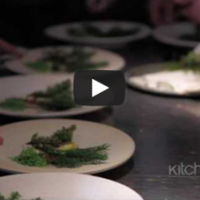 Noma, Worlds Best Restaurant, Bittman interviews Redzepi