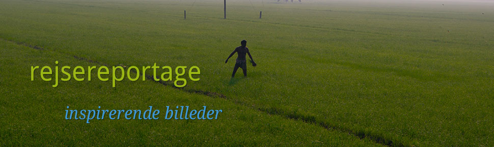 Rejsereportage